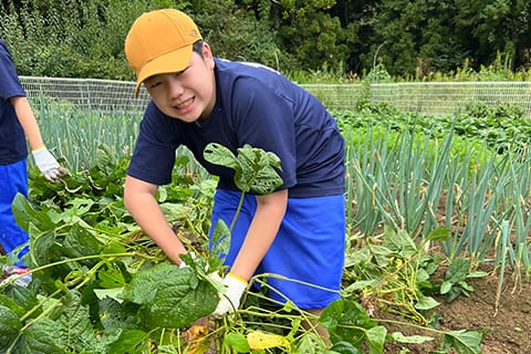 多彩な体験学習プログラム